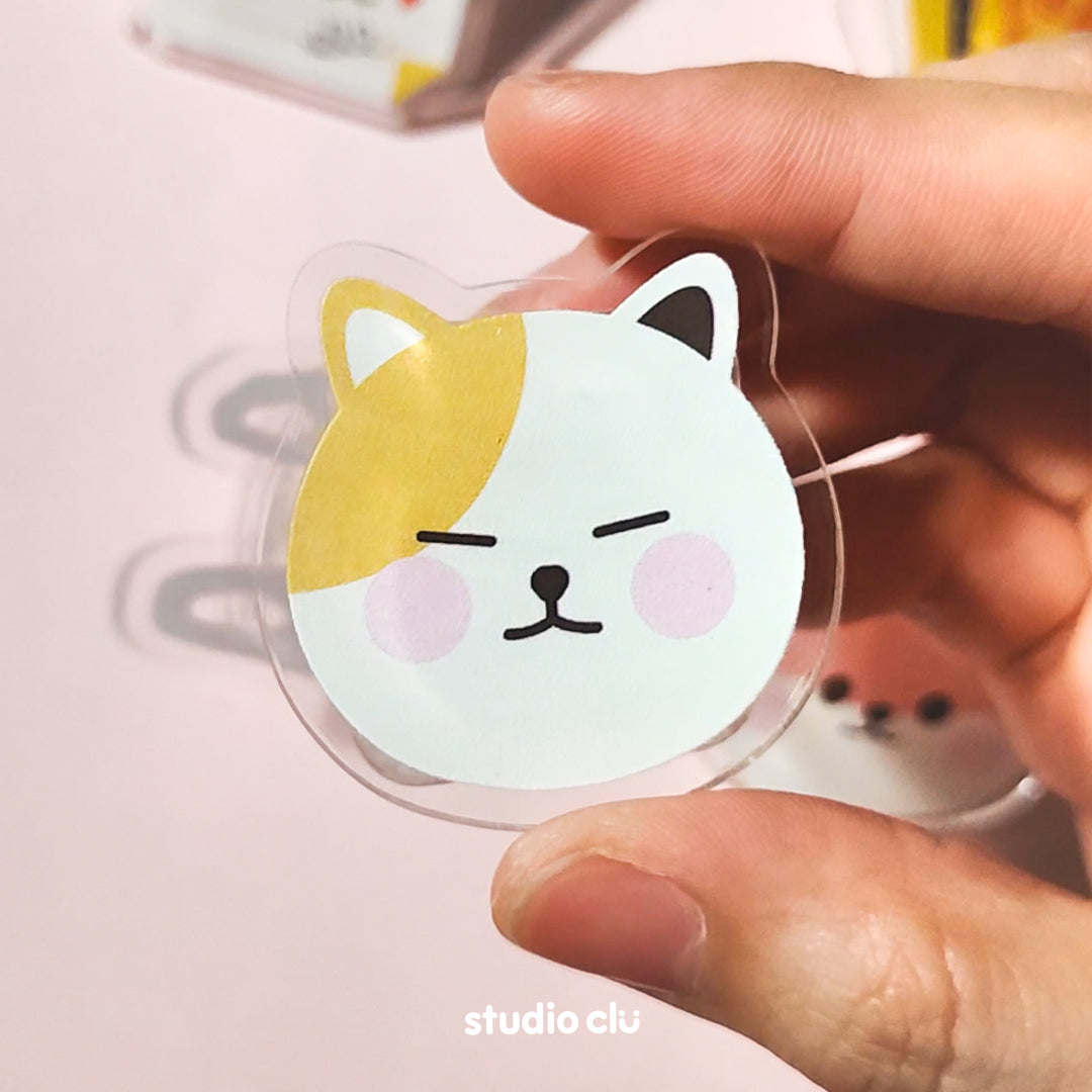 Acrylic Magnet Paper Clip